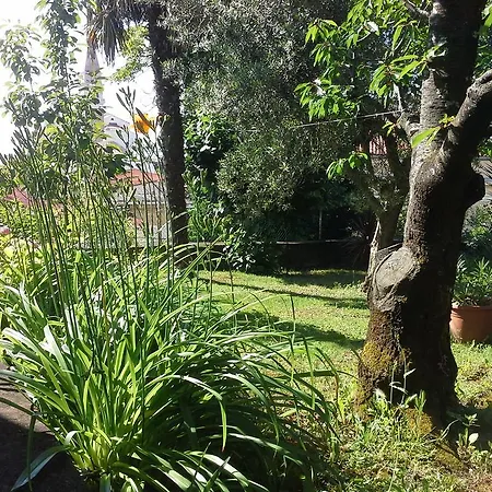 Garden Piran