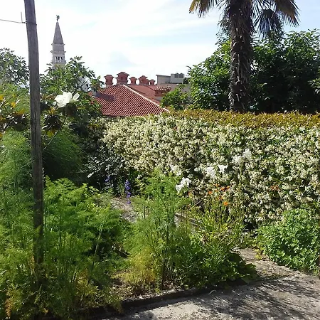Apartment Garden Piran