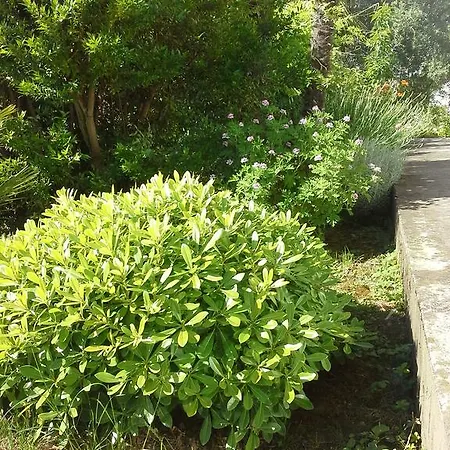 Apartment Garden Piran