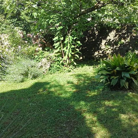 Garden * Piran