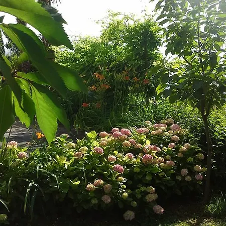 Garden Piran